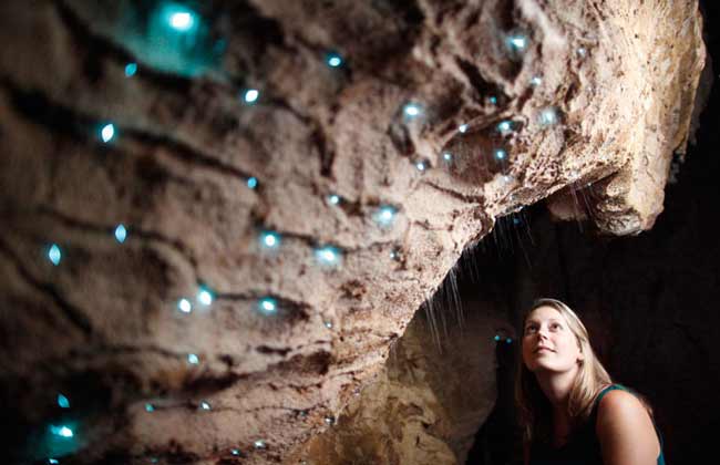 Glowworms Waitomo Caves.