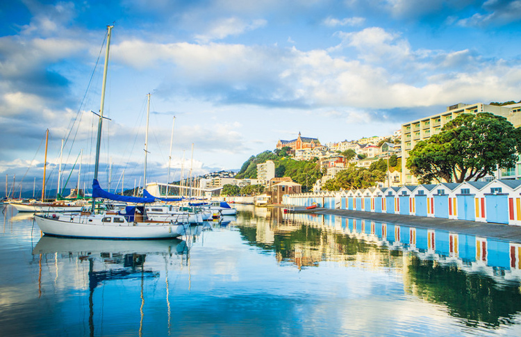 Wellington on a calm day