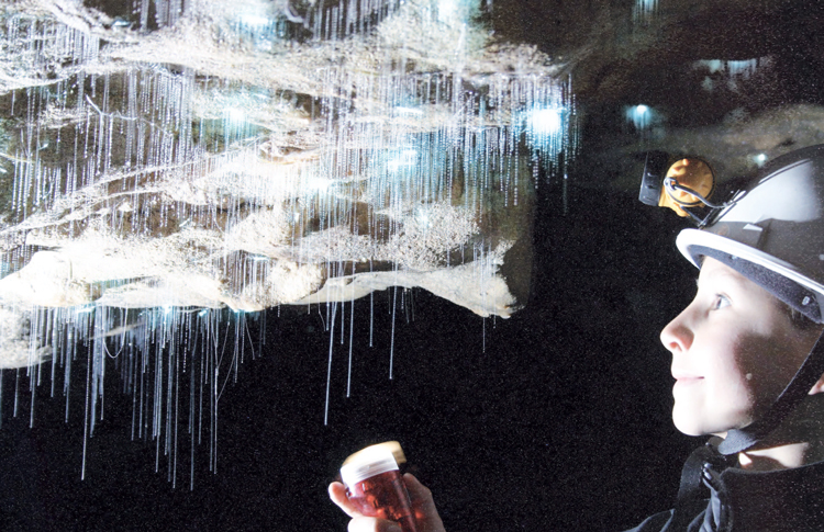 Waitomo Caves Spellbound