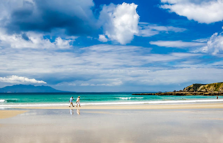 Auckland Beach