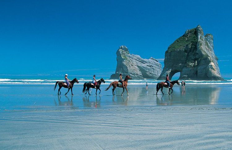 Horses Farewell Spit