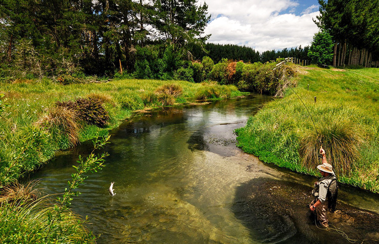 Tongariro