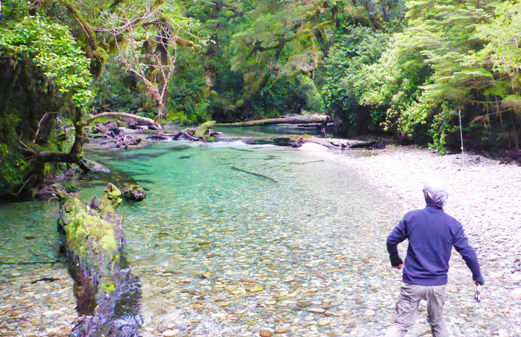 Fly Fishing Wanaka