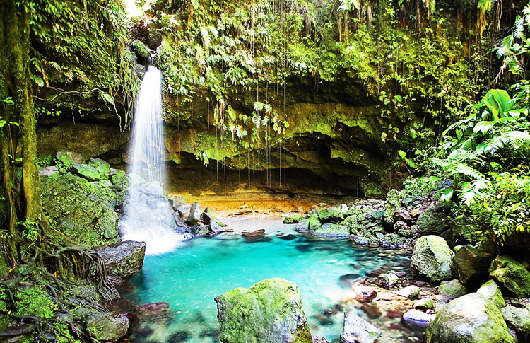 Daintree Rainforest