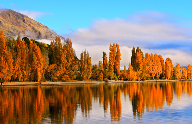 Beautiful picture of a lake close to Christchurch