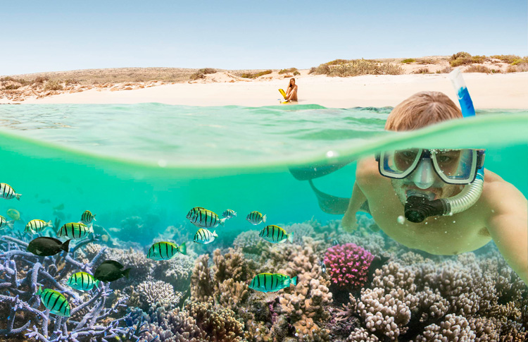 Niggaloo Reef Snorkeling 