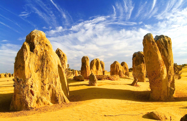 Pinnacles Desert 