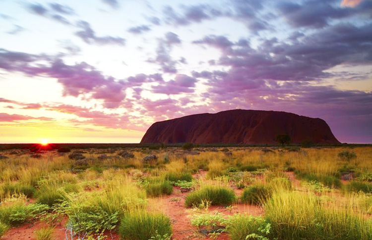 Uluru Sunrise