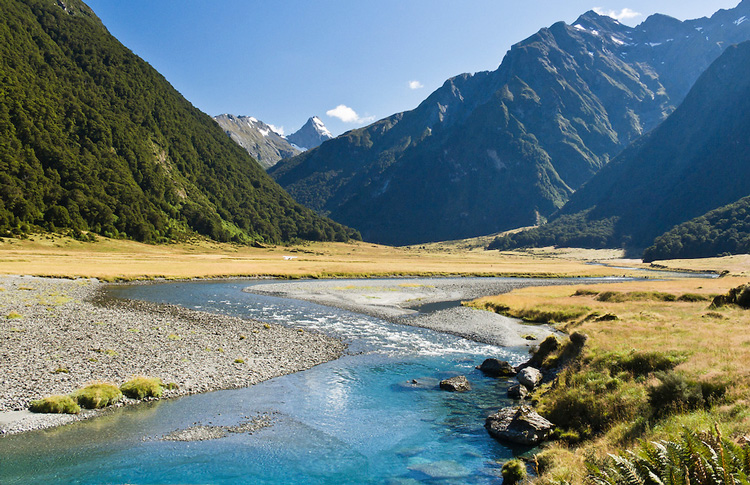 Aspiring National Park