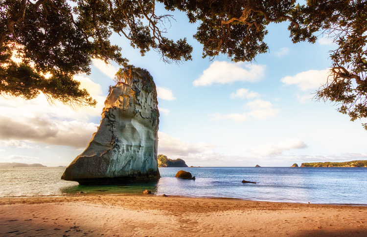 Coromandel Cathedral Cove