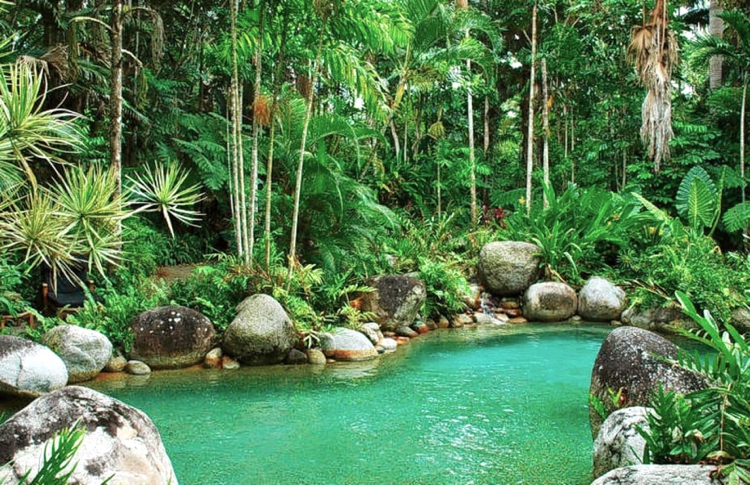 Daintree