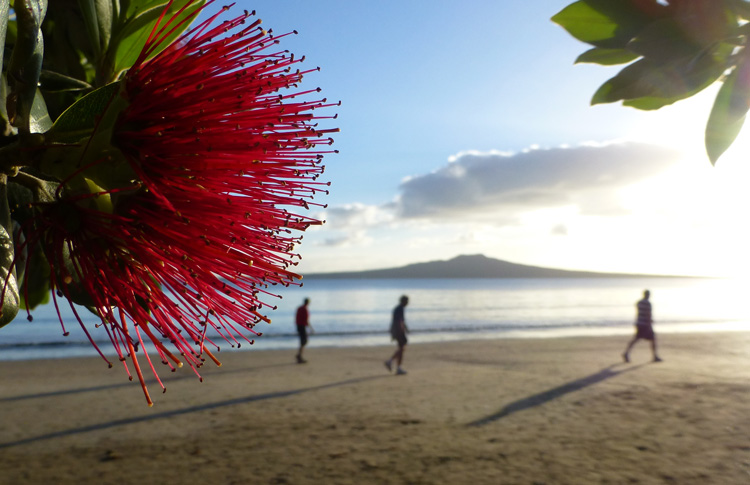 Auckland Takapua Beach