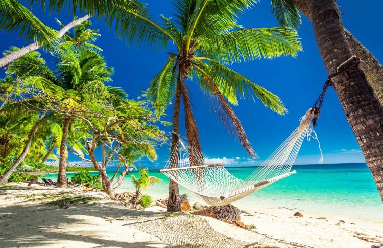 Fiji Island hammock