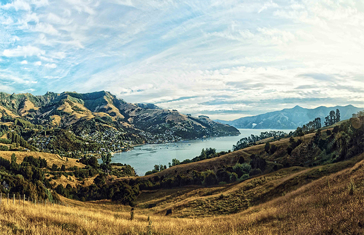Looking down at the Akaroa Harbour - michael unsplash