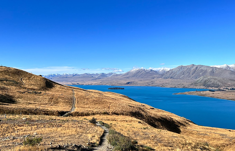 Mount John hike near lake Tekapo