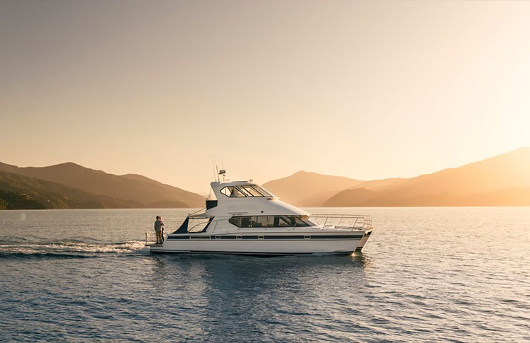 Marlborough Sounds Seafood Odyssey cruise