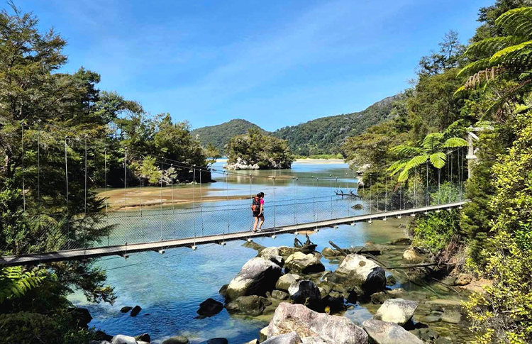 Bark Bay Abel Tasman swingbridge