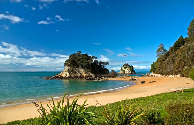 Stunning beaches at the Abel Tasman National Park.