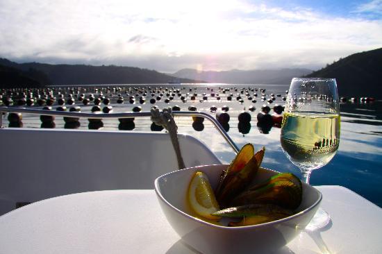 Marlborough Sounds Mussel Cruise