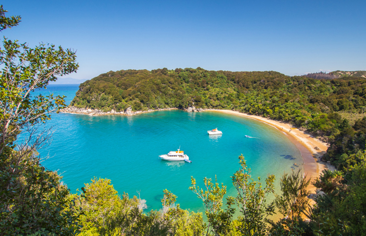 Cruise Abel Tasman