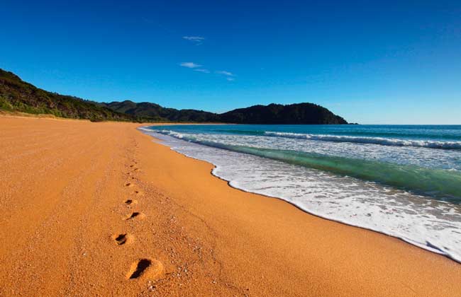 Footprints on a beach in the Abel Tasman.