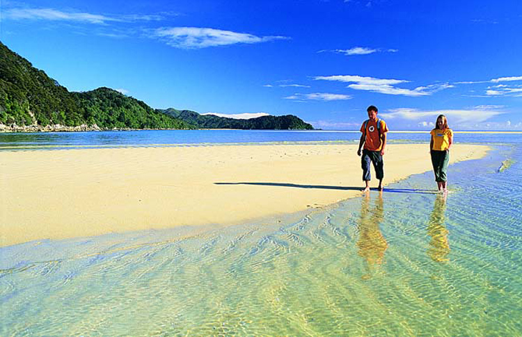 Wading in the Water of the Abel Tasman