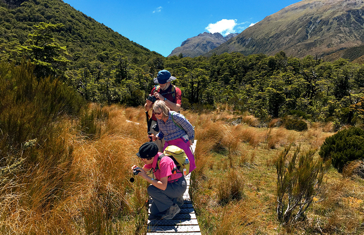 Arthurs Pass National Park