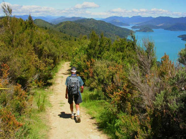 Hiking ridgeline Track to Picton