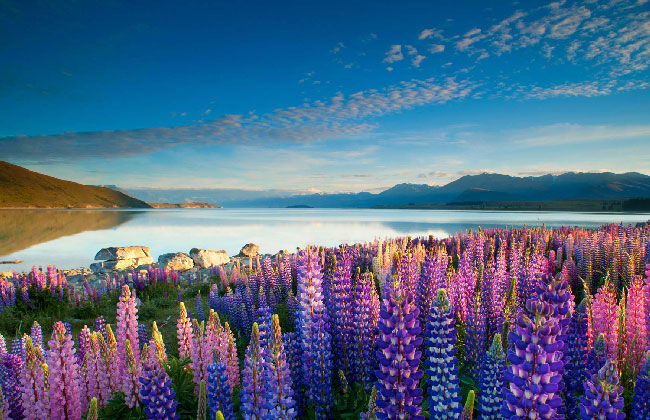 Lake Tekapo.