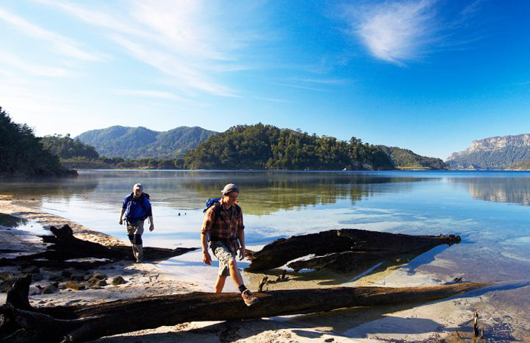 Hiking Next to Lake Waikaremoana