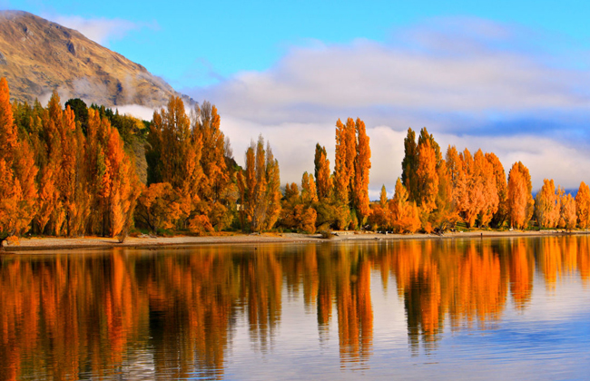 Lake Wanaka