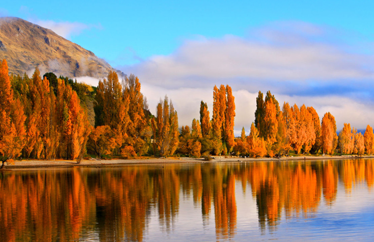 Lake Wanaka