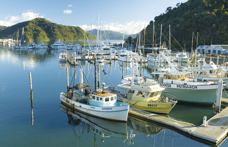 Picton the gateway to the Marlborough Sounds.