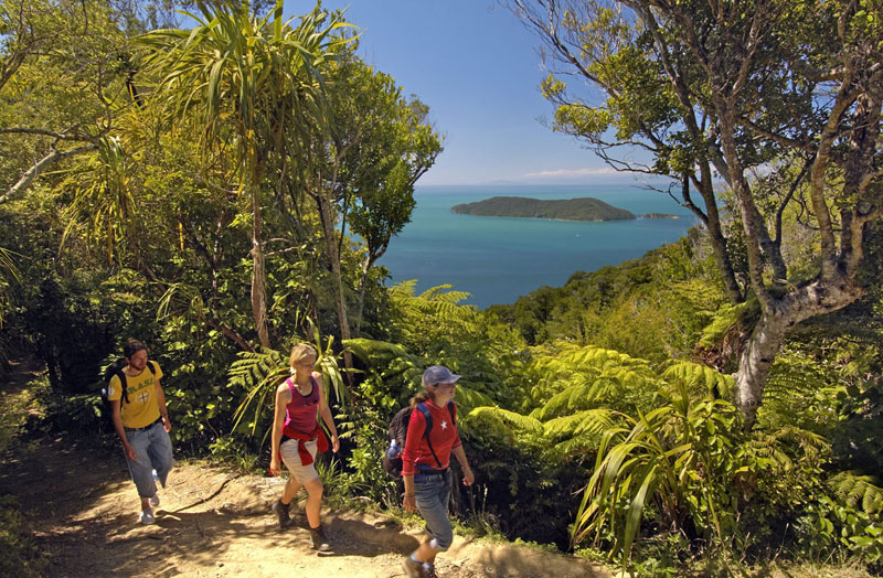 Day 3 of the Queen Charlotte Track