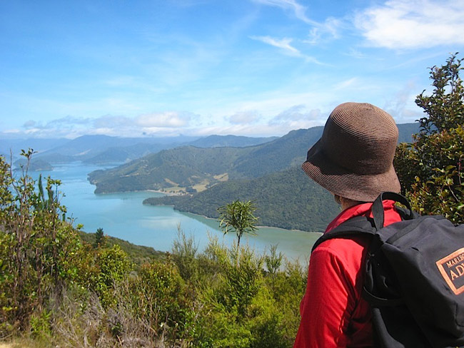 Nice view of the Queen Charlotte Sound.