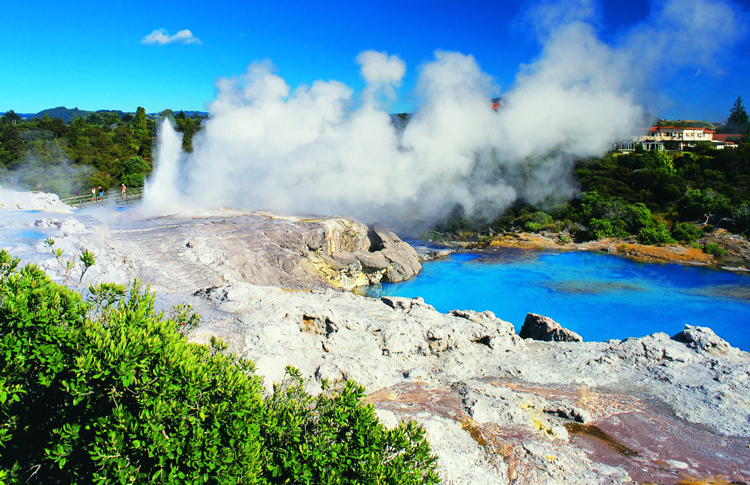 Rotorua Geothermal Area.