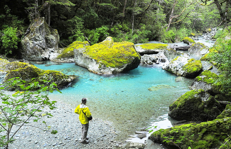 Routeburn Day Walk