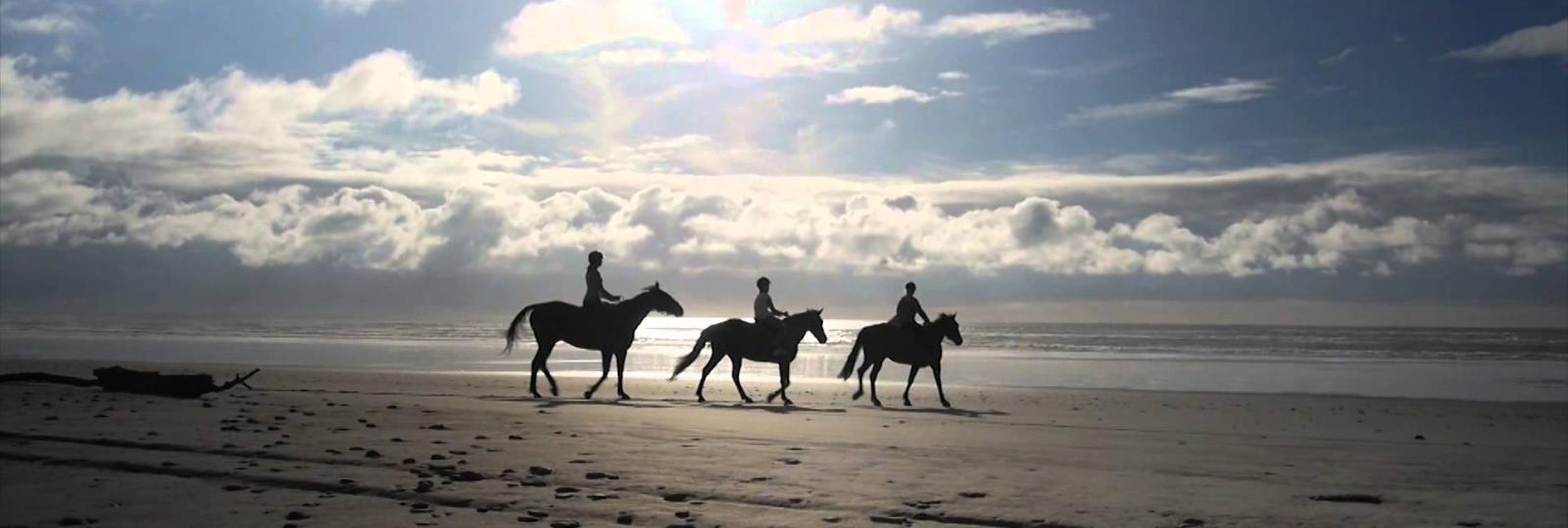 Three large horse's galloping down a West Coast beach at sunset.