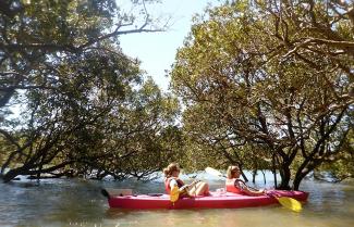 Kayak the Bay of Islands