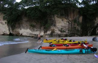 Guided Kayaking Tour in the Bay of Islands