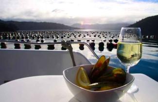 Marlborough Sounds wine and Mussel Cruise