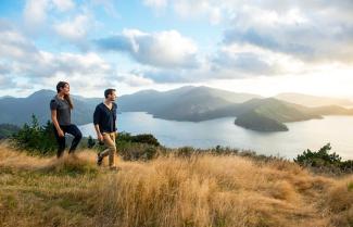 Hikers on the Queen Charlotte Track