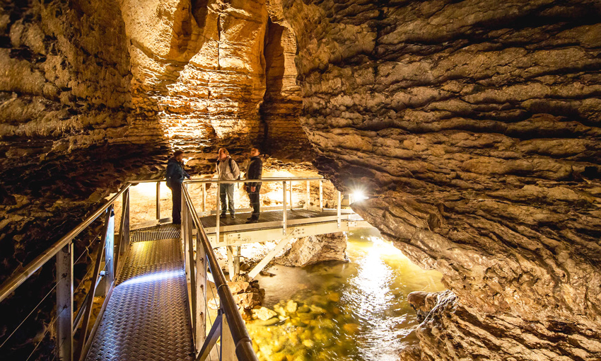 Te Anau glowworm cave