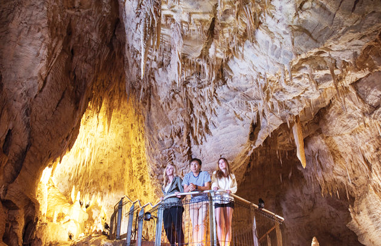 Ruakuri Cave