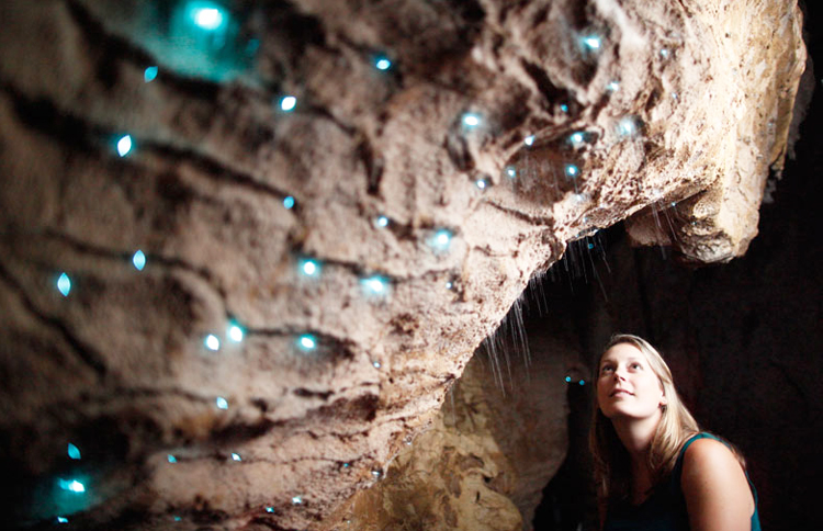 Glowworm Caves Waitomo.