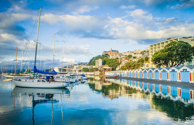 A beautiful small harbour in Wellington.