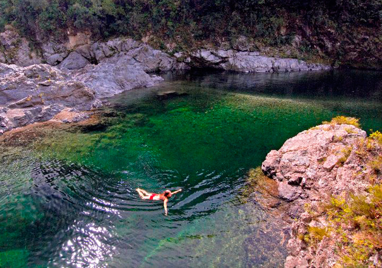 Pelorus River New Zealand