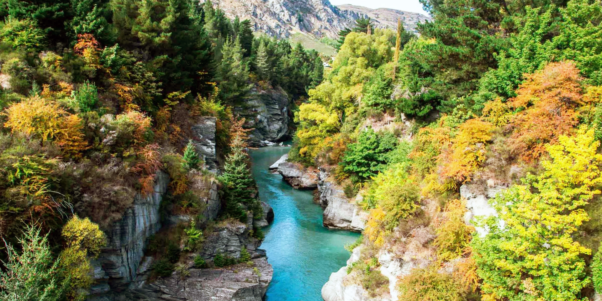 Best Time to Visit New Zealand | NZ Holiday Planner