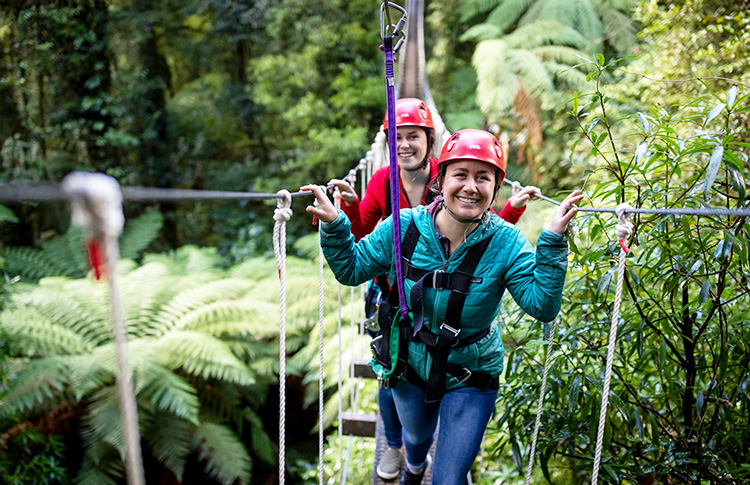 Rotorua canopy tour