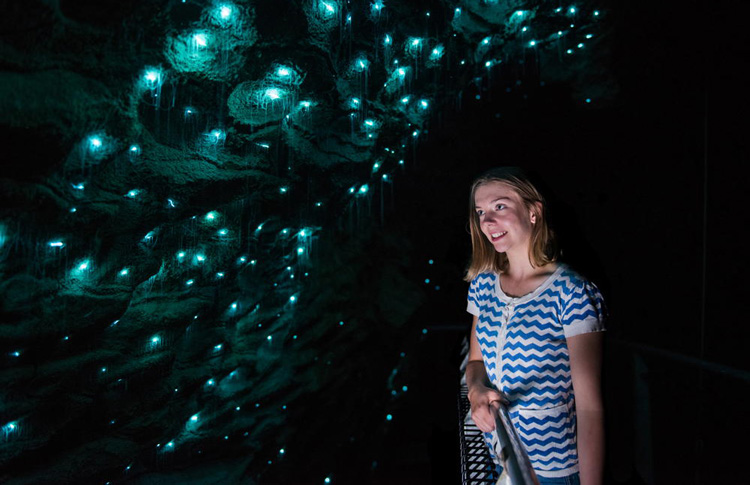 glowworm caves